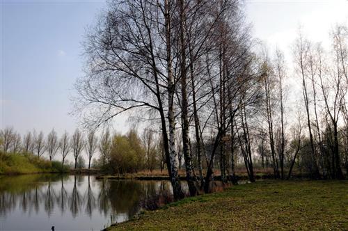 luxe vakantiehuisje huren in de Vlaamse Ardennen Casa Anja